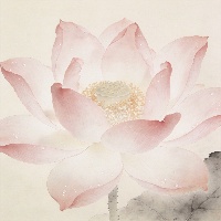 王*硕